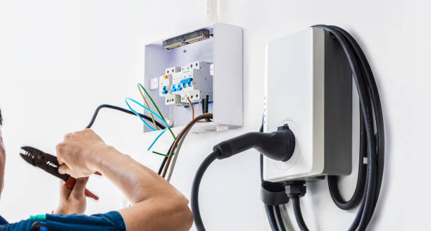 Best Ceiling Fan Installation Electrician  in Lakeland, MN